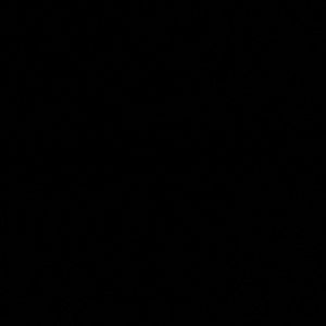 Meet your Posher, Yaneli